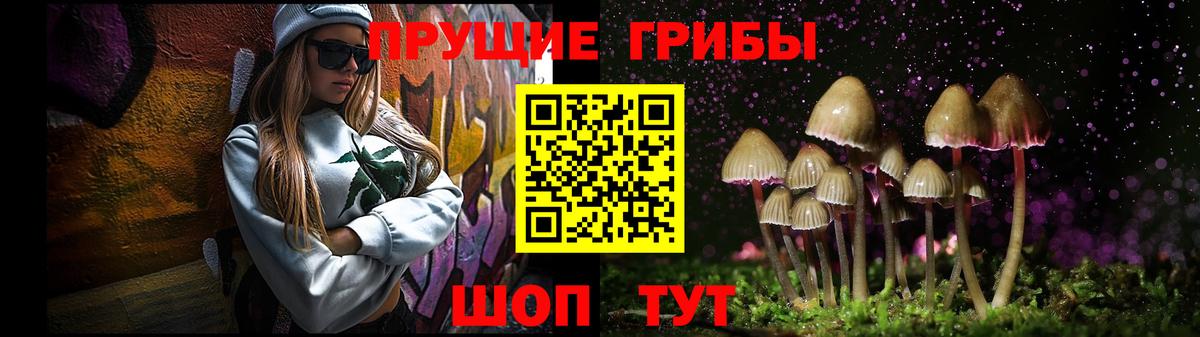 Галлюциногенные грибы Psilocybe  Вход с VPN  наркотики  Выборг 